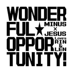 WONDERFUL OPPORTUNITY